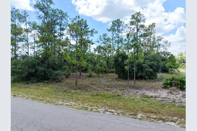 1600 E 15th Street, Lehigh Acres, FL 33972 - Photo 18