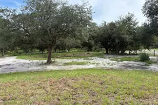 16848 NW 288th St, Okeechobee, FL 34972 - Photo 12