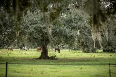 32801 US Highway 441 N #246, Okeechobee, FL 34972 - Photo 44