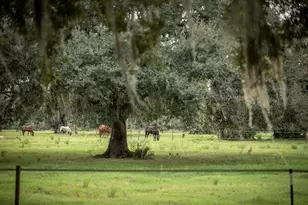 32801 US Highway 441 N, Okeechobee, FL 34972 - Photo 44
