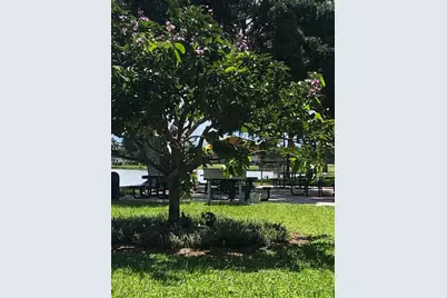 316 Monaco G Boulevard #316, Delray Beach, FL 33446 - Photo 36