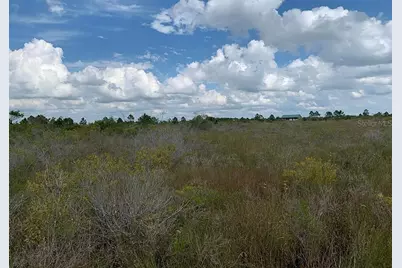 48341 Bermont Road, Punta Gorda, FL 33982 - Photo 4
