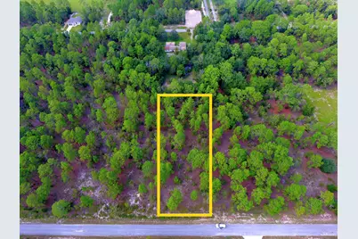 23701 NW Water Oak Avenue, Dunnellon, FL 34431 - Photo 2
