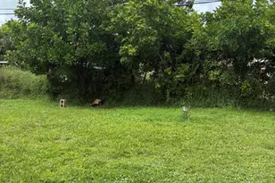 1655 44th St, West Palm Beach, FL 33407 - Photo 20