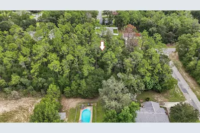 2076 W Arbutus Drive, Dunnellon, FL 34434 - Photo 8