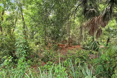 18081 SE Country Club Drive #37-361, Tequesta, FL 33469 - Photo 38