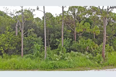 Tbd Shanas Trail, Fort Pierce, FL 34952 - Photo 10