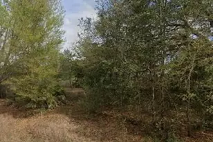 Tba Lenore Ave, Interlachen, FL 32148 - Photo 1