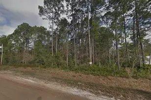 4818 Acacia St, Middleburg, FL 32068 - Photo 1