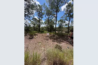 391 Marionette Avenue, Lake Placid, FL 33852 - Photo 4