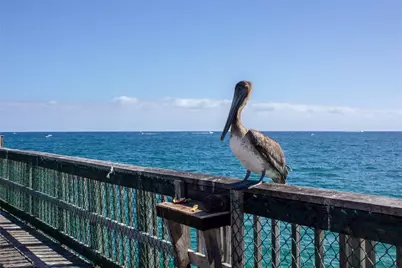 1360 S Ocean Boulevard #Apt 603, Pompano Beach, FL 33062 - Photo 36
