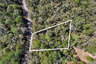 987 E Odin Drive, Dunnellon, FL 34434 - Photo 2