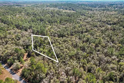 987 E Odin Drive, Dunnellon, FL 34434 - Photo 4