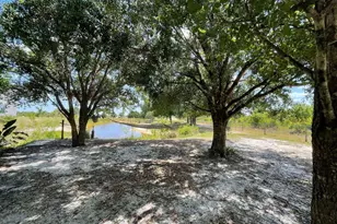 16738 NW 262nd St, Okeechobee, FL 34972 - Photo 32