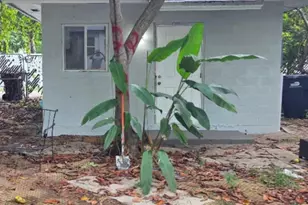 1243 NE 159th St, North Miami Beach, FL 33162 - Photo 1