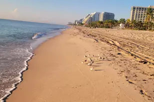 2715 N Ocean Blvd N, Fort Lauderdale, FL 33308 - Photo 26
