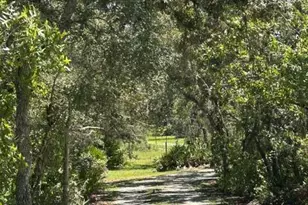 2005 Van Pelt Rd, Sebring, FL 33870 - Photo 24