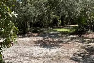 2005 Van Pelt Rd, Sebring, FL 33870 - Photo 28