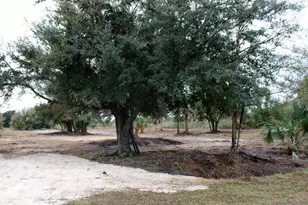 19576 NW 264th St, Okeechobee, FL 34972 - Photo 1