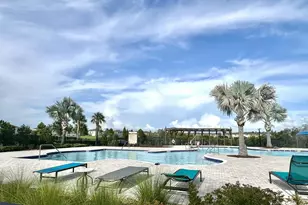 14288 Swiss Bridge Dr, Riverview, FL 33579 - Photo 64