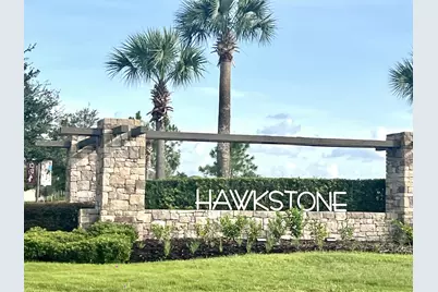 14288 Swiss Bridge Drive, Riverview, FL 33579 - Photo 66