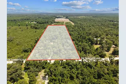 531 SW Roberts Avenue, Fort White, FL 32038 - Photo 6