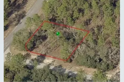 9735 N Calla Lily Way, Dunnellon, FL 34433 - Photo 2
