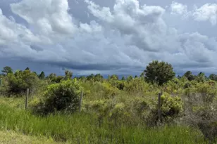 18076 NW 276th St, Okeechobee, FL 34972 - Photo 1