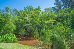 330 W Forest Trail, Vero Beach, FL 32962 - Photo 44