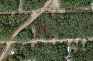 0 Hurley St, Interlachen, FL 32148 - Photo 1