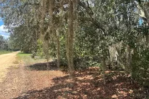 0 Hurley St, Interlachen, FL 32148 - Photo 1