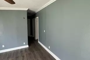6205 Fullenkamp Dr, Plant City, FL 33565 - Photo 8