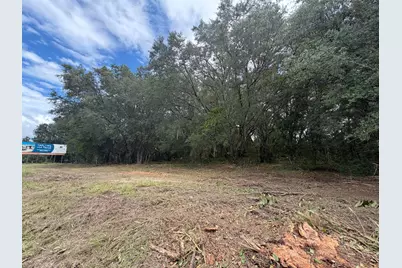 3588 E Lake Park Drive, Hernando, FL 34442 - Photo 4