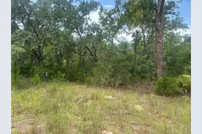 2225 W Wells Road, Avon Park, FL 33825 - Photo 2