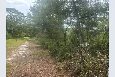 2225 W Wells Road, Avon Park, FL 33825 - Photo 1