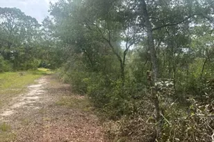 2225 W Wells Rd, Avon Park, FL 33825 - Photo 1