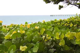 206 Mainsail Cir, Jupiter, FL 33477 - Photo 26