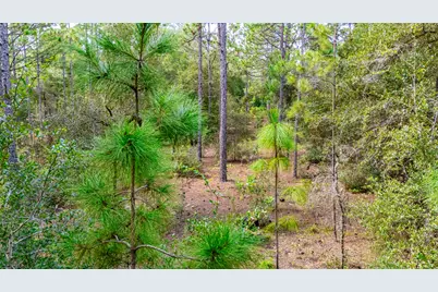15515 SW 25th Place, Ocala, FL 34481 - Photo 4