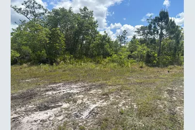 0 Holopaw Groves Road, Saint Cloud, FL 34772 - Photo 2