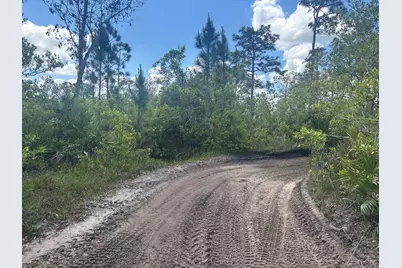 0 Holopaw Groves Road, Saint Cloud, FL 34772 - Photo 2
