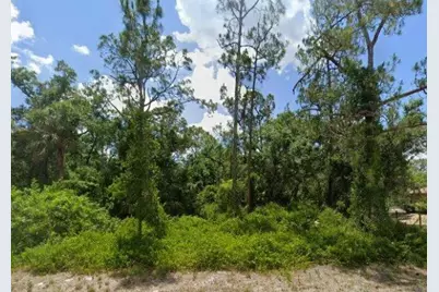 2117 Irving Avenue, Alva, FL 33920 - Photo 1