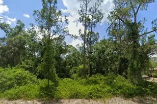 2117 Irving Ave, Alva, FL 33920 - Photo 1