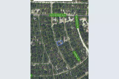 375 Concert Drive, Lake Placid, FL 33852 - Photo 2