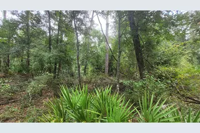 0 Piper Place, Live Oak, FL 32060 - Photo 4
