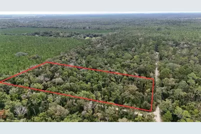 0 Piper Place, Live Oak, FL 32060 - Photo 6
