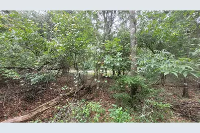 0 Piper Place, Live Oak, FL 32060 - Photo 12