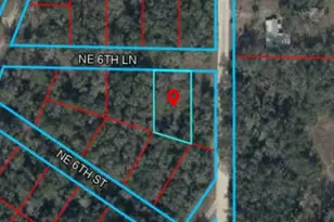 0 NE 6 Ln, Williston, FL 32696 - Photo 1