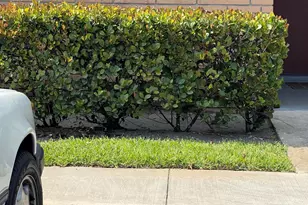 2731 Emory Dr W, West Palm Beach, FL 33415 - Photo 2