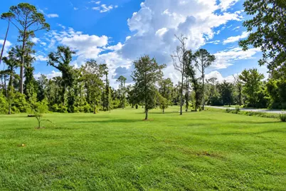 351 NE Bellville Road, Pinetta, FL 32350 - Photo 20