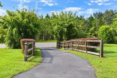 351 NE Bellville Road, Pinetta, FL 32350 - Photo 4